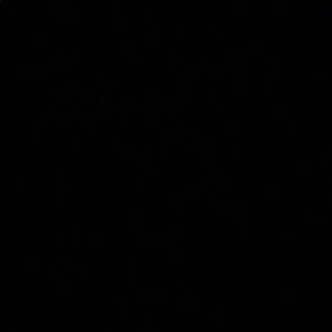 Meet your Posher, Eli